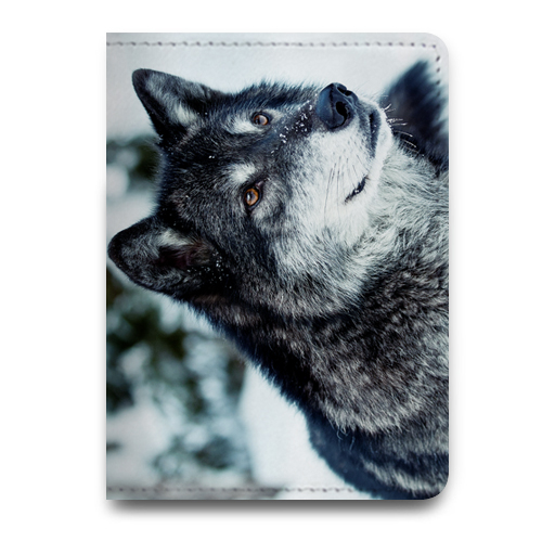 Обложка для паспорта с фото "Волк"
