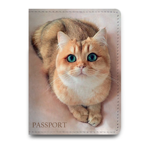 Обложка для паспорта с фото "Кошка"