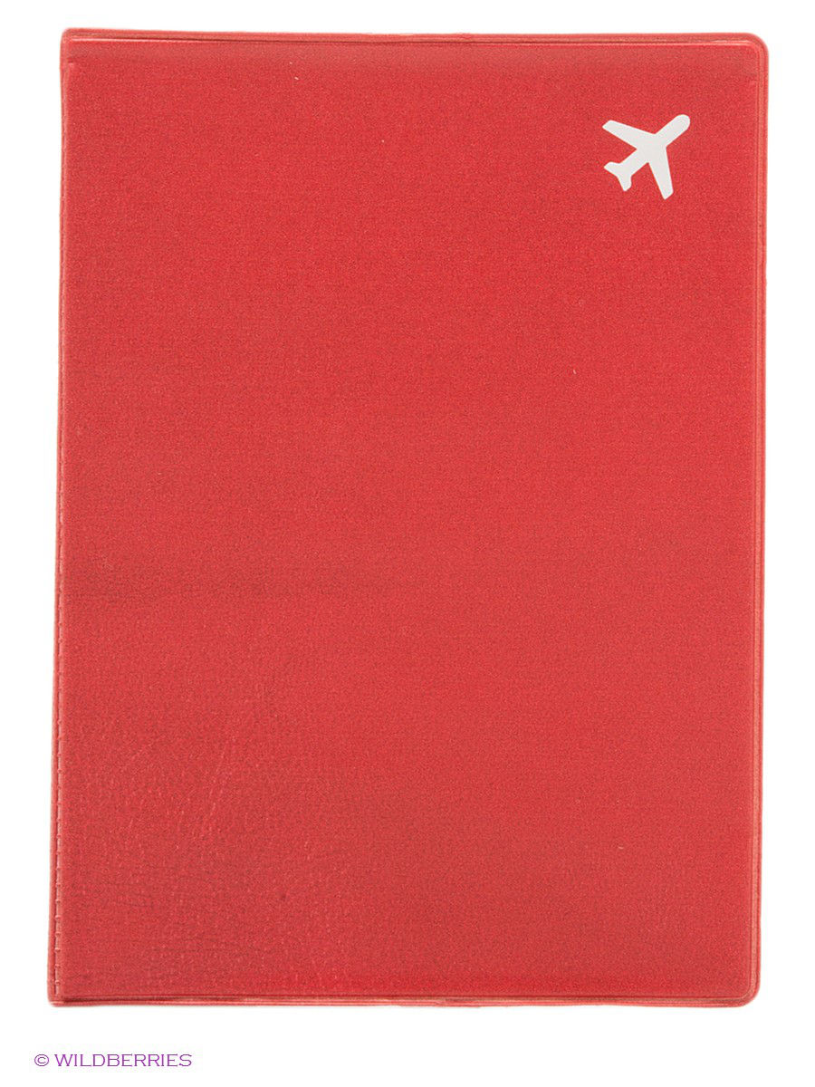 Обложка для паспорта "Самолёт"